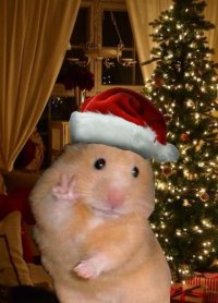 Merry Christmas everyone 🫶🏾