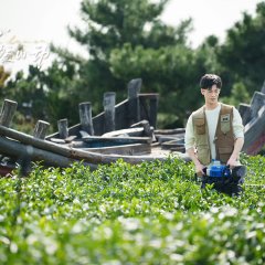 Go Back Lover Chinese Drama photo