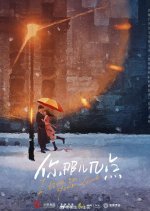 I Live in Your Time Chinese Drama photo