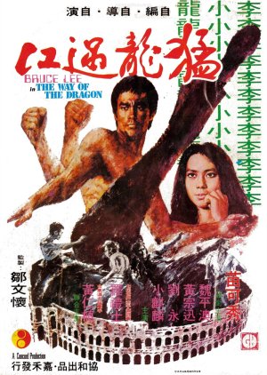 Way of the Dragon (1972) poster