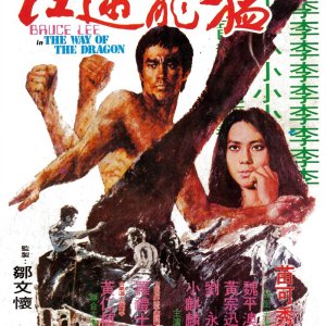 Way of the Dragon (1972)