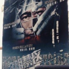 Inside or Outside Chinese Movie photo