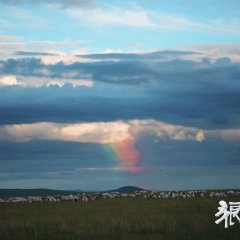 Wolf Totem Chinese Movie photo