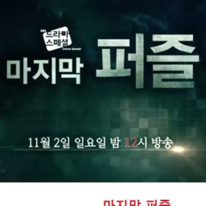 Drama Special Season 5: The Last Puzzle (2014)