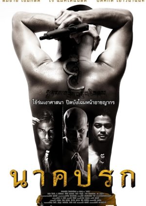 In the Shadow of Naga (2008) poster