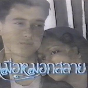 Kamisama no Boto  (2013)