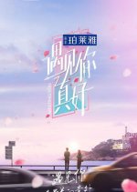 Meeting You Chinese TV Program(2019) photo