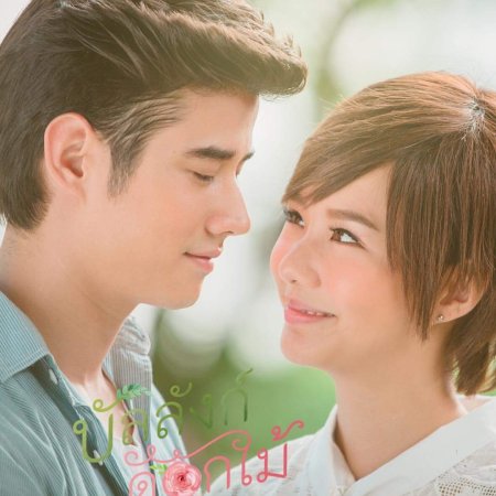 Kamisama no Boto  (2013)