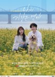 My Woofy Poofy Love korean drama review