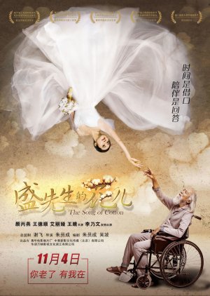 The Song of Cotton (2016) poster