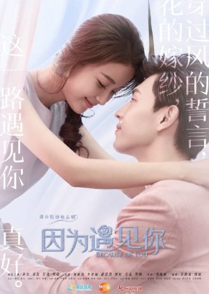 Because of Meeting You (2017) poster