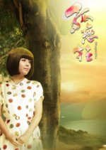 White Magnolia Taiwanese Drama photo