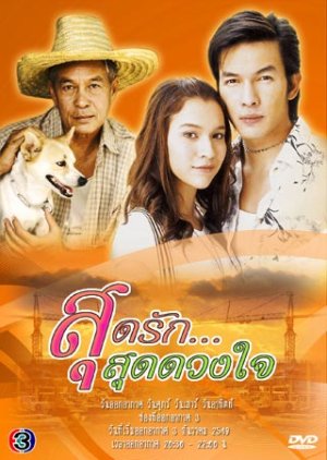 Sood Ruk Sood Duang Jai (2006) poster