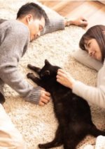 Suteneko ni Hirowareta Otoko Japanese Drama photo