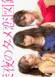 Shinya no Damekoi Zukan japanese drama review
