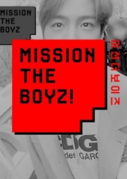 MISSION THE BOYZ Golden Pig SP (2019) poster