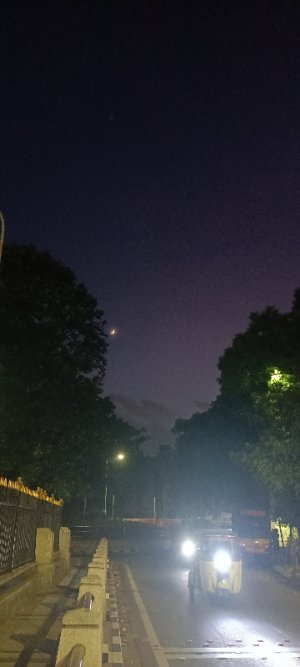 MoonButterfly