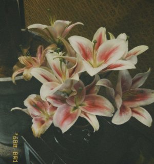 Sharmika