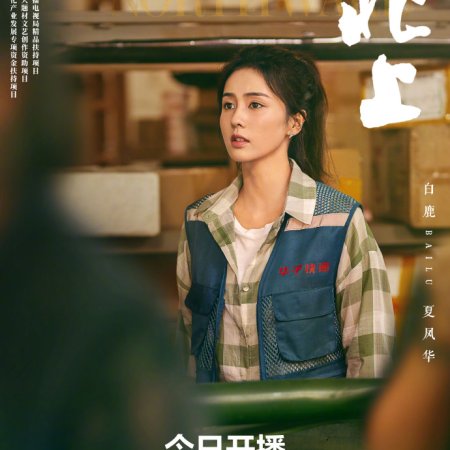 Northward (2025)