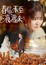 Chun Xin Bu Zhi Ye Ying Lai Chinese Drama photo