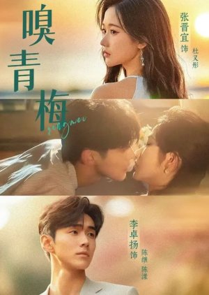 Xiu Qing Mei (2025) poster