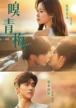 Xiu Qing Mei Chinese Drama(2025) photo