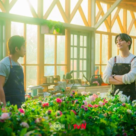 Typhoon Family (2025)