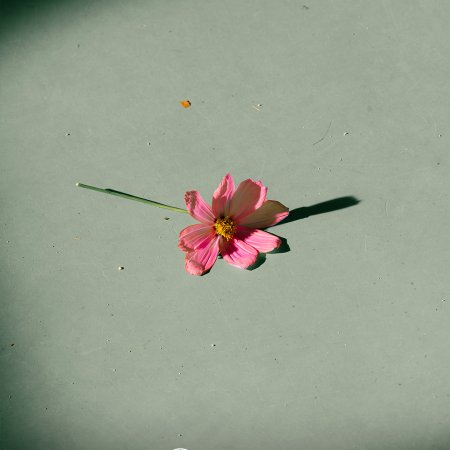 Typhoon Family (2025)