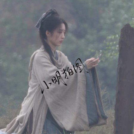 The Road to Splendor ()