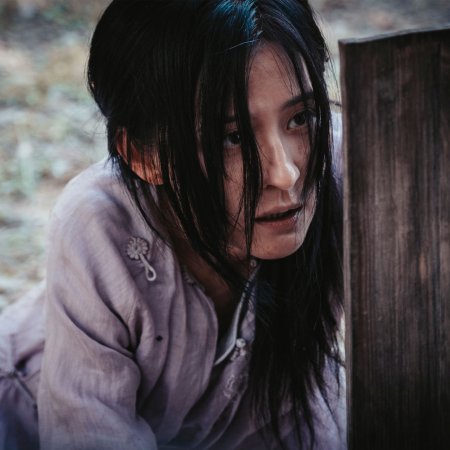Wild Ambition Bloom (2025)