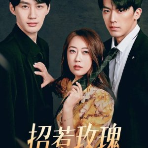 Provoke Roses (2025)