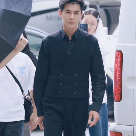 The Vanishing Beauty ()