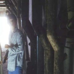 Serpent's Path Japanese Movie(1998) photo