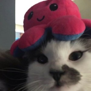 misaki