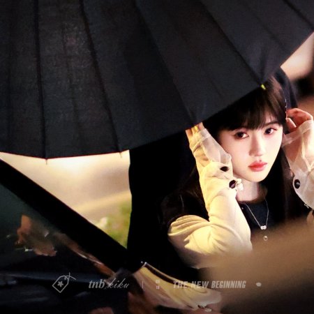 Let's Fight (2026)