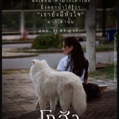 Gohan Thai Movie photo