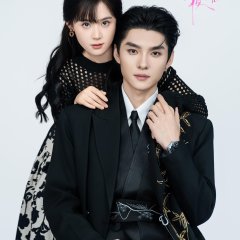 Her Days and Nights Chinese Drama(2025) photo