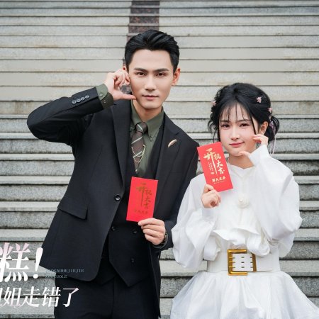 Zao Gao! He Jie Jie Zou Cuo Le (2025)