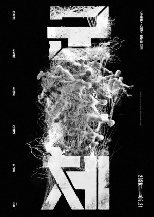 9. Colony