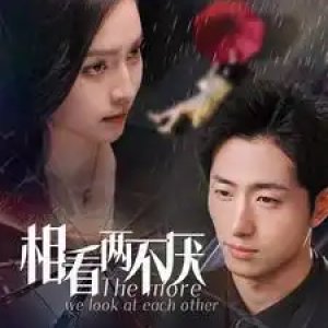 The More We Look at Each Other (2025)