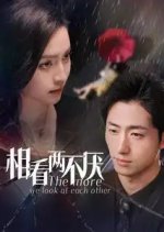 The More We Look at Each Other Chinese Drama photo