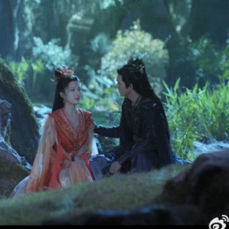 The Blossoming Love (2025)