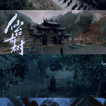 Love of the Divine Tree (2025)