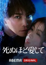 Shinuhodo Aishite Japanese Drama photo