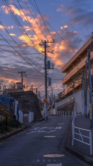 Tennesine_24