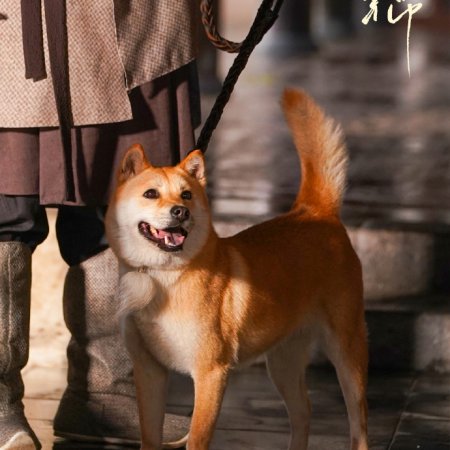 Si Jin (2025)