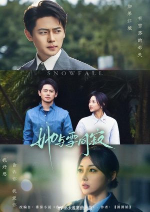 Snowfall (2025) poster