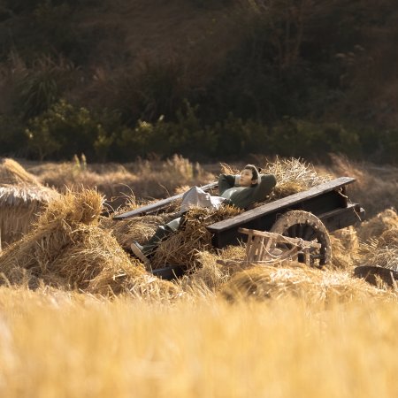 The Vendetta of An (2025)