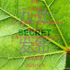 Mission for Brave Chinese Drama photo