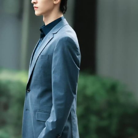 The Vanishing Beauty ()